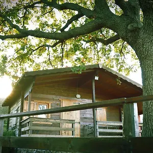  Farm stay Kikajon Italy